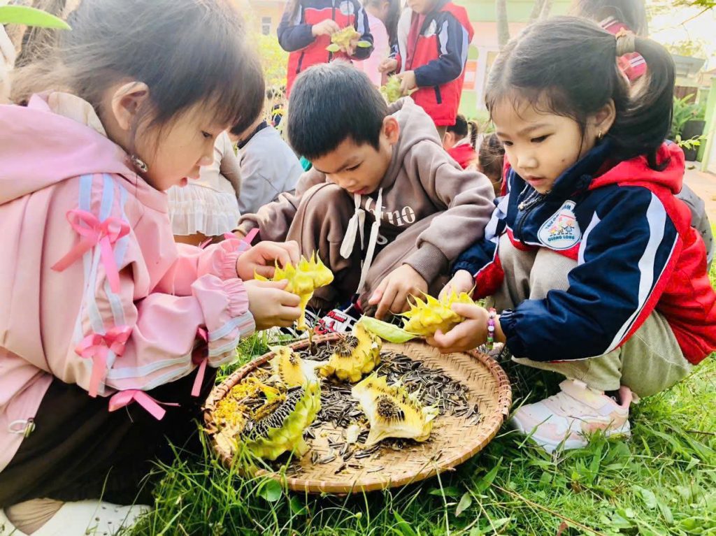 Mầm non Quảng Long